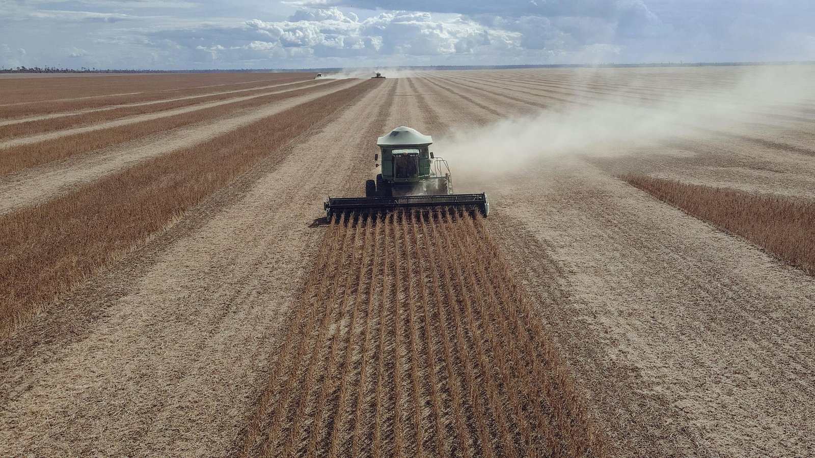 investir em commodities
