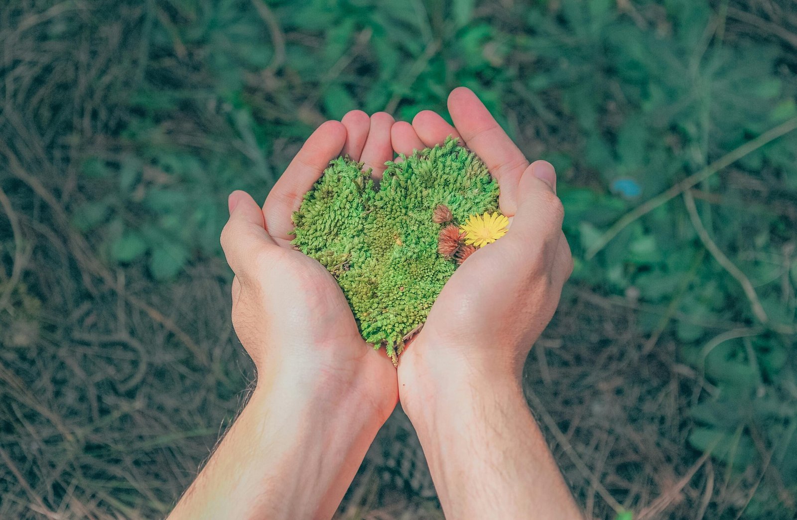 Hábitos Financeiros Duradouros para uma Vida Próspera: 5 Passos Práticos e Sustentáveis